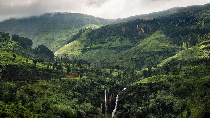 Contact us for personalized Sri Lanka travel experiences